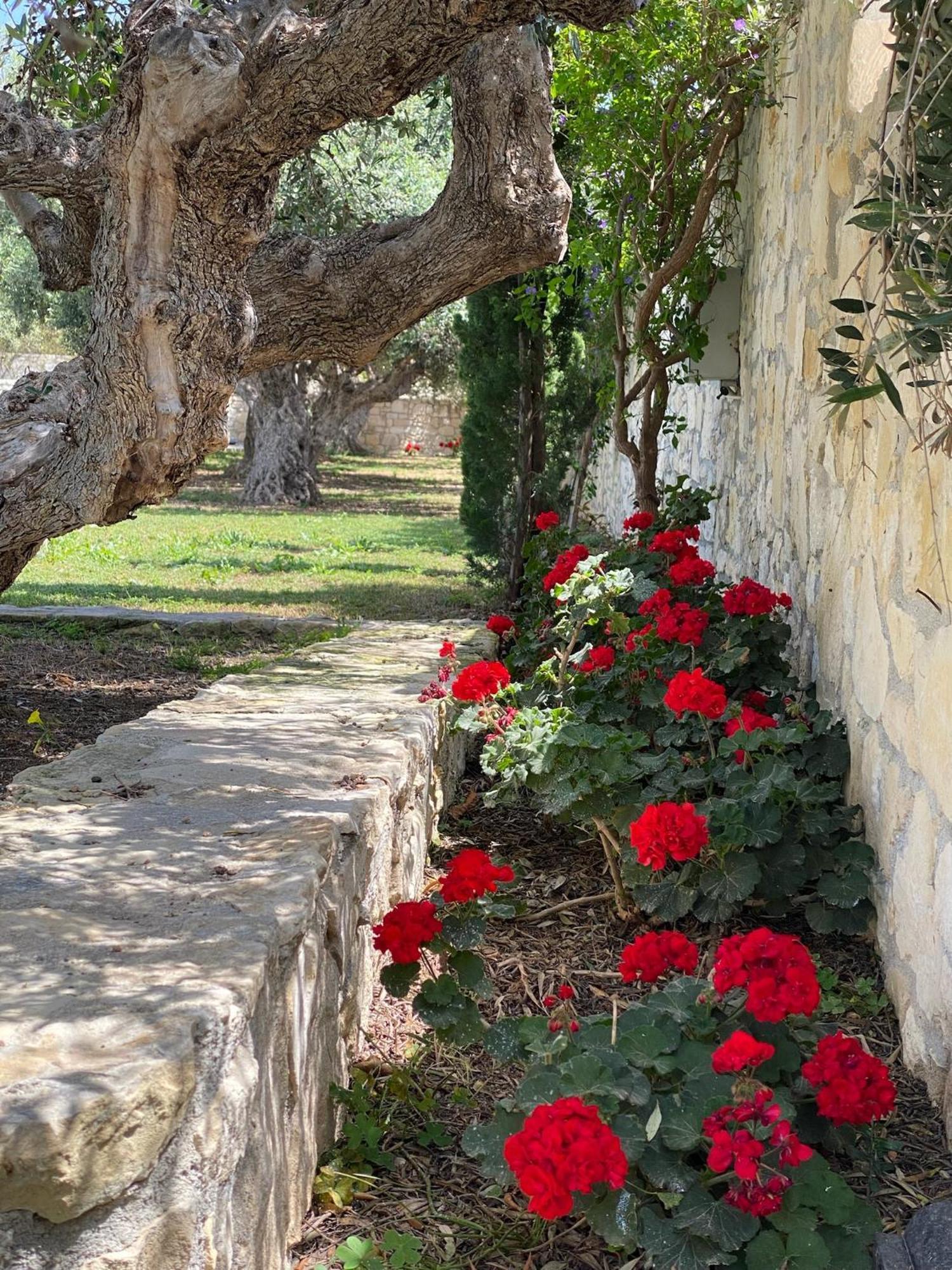 إرابيترا Villa Marmelada المظهر الخارجي الصورة